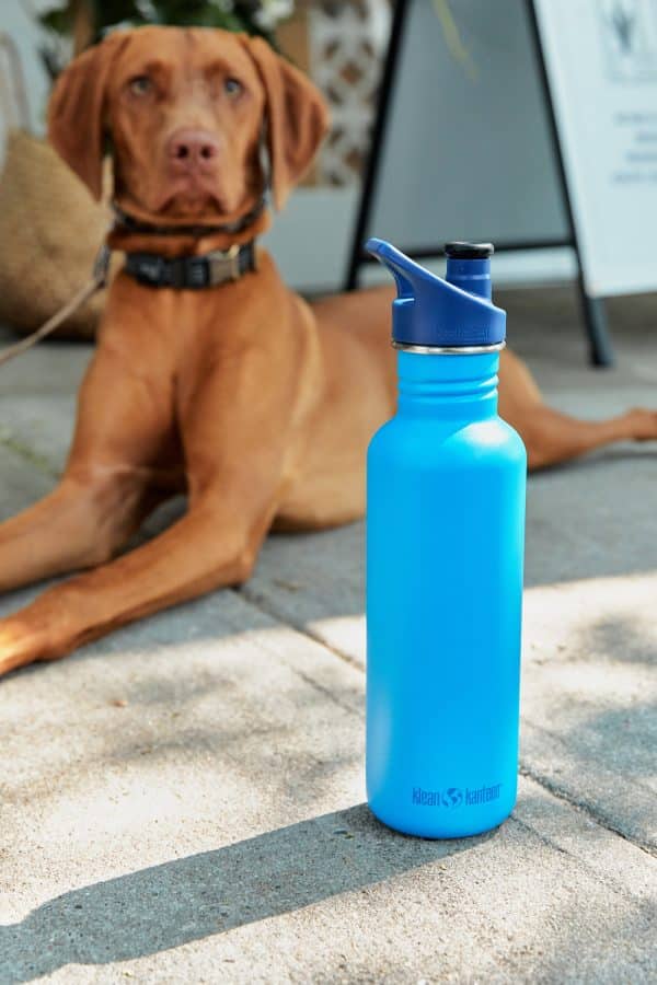 Klean Kanteen drikkedunk - Classic 800 ml (Sport cap) - Hawaiian Ocean - Image 6