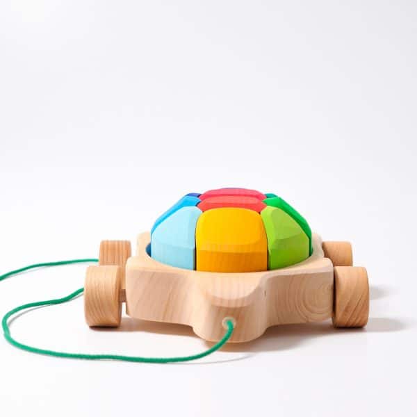 Grimms -  Rainbow Turtle - Image 2