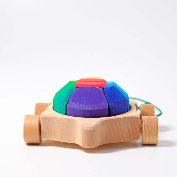 Grimms -  Rainbow Turtle - Image 3