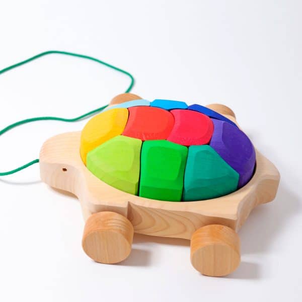 Grimms -  Rainbow Turtle - Image 4