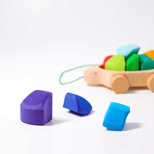 Grimms -  Rainbow Turtle - Image 6