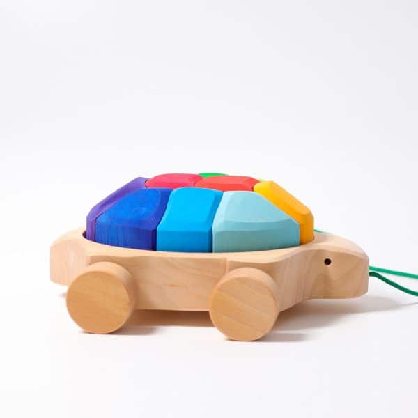 Rainbow Turtle