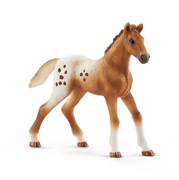Schleich - Tournament training set & Appaloosa horse - Image 2