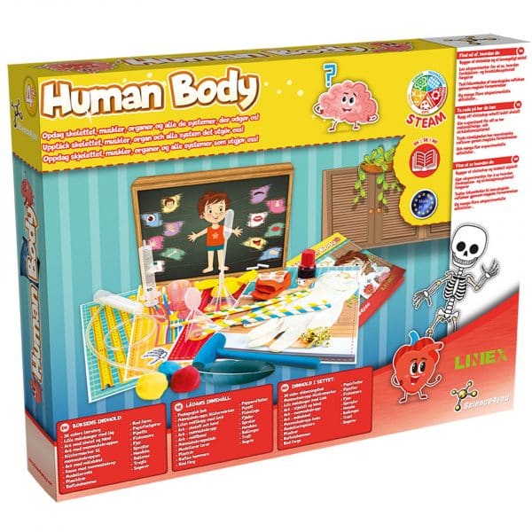 Science4you Human Body - Image 2