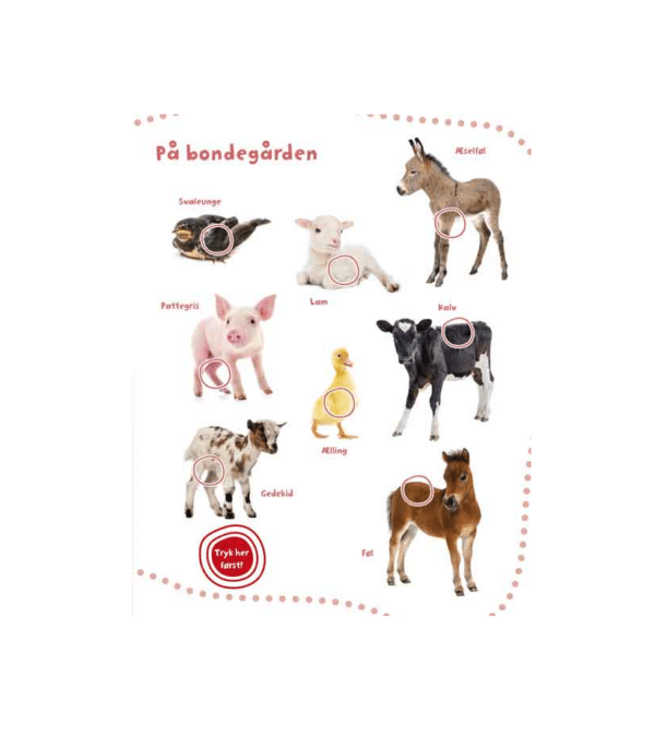 Min store lydbog med dyreunger - Image 3